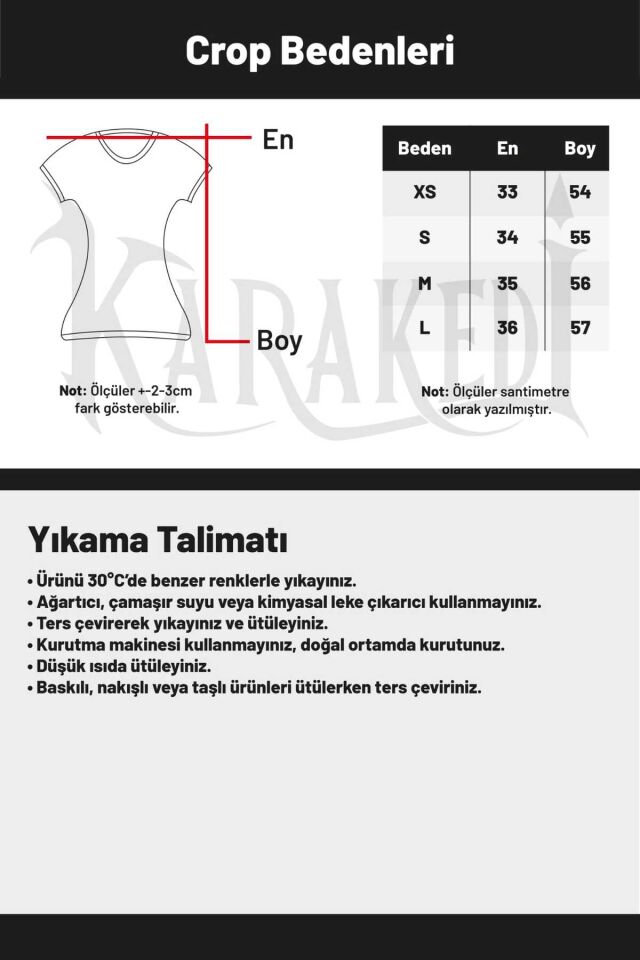 Füme Grunge Skull Gotik Kapüşonlu Uzun Kollu Crop Hırka