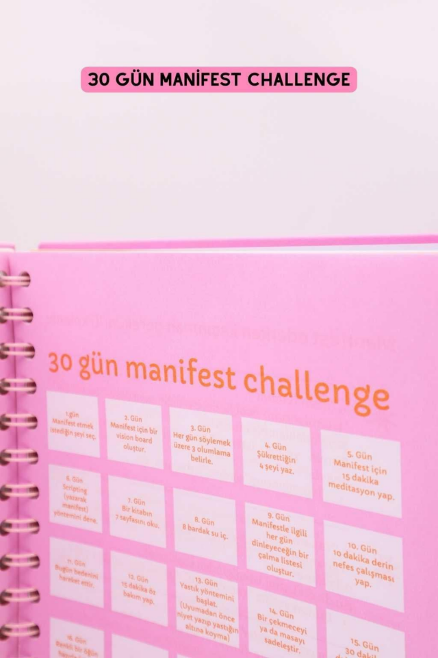 MANİFESTLE Serisi Manifest Günlüğü Ajanda Mor S2